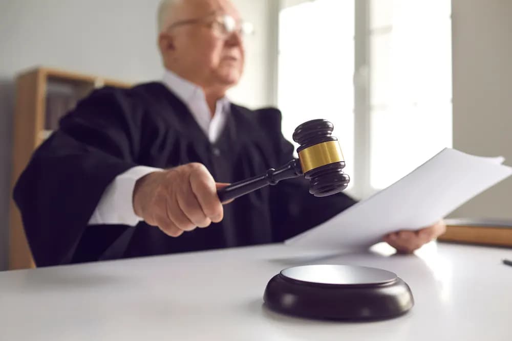 Statements of Case