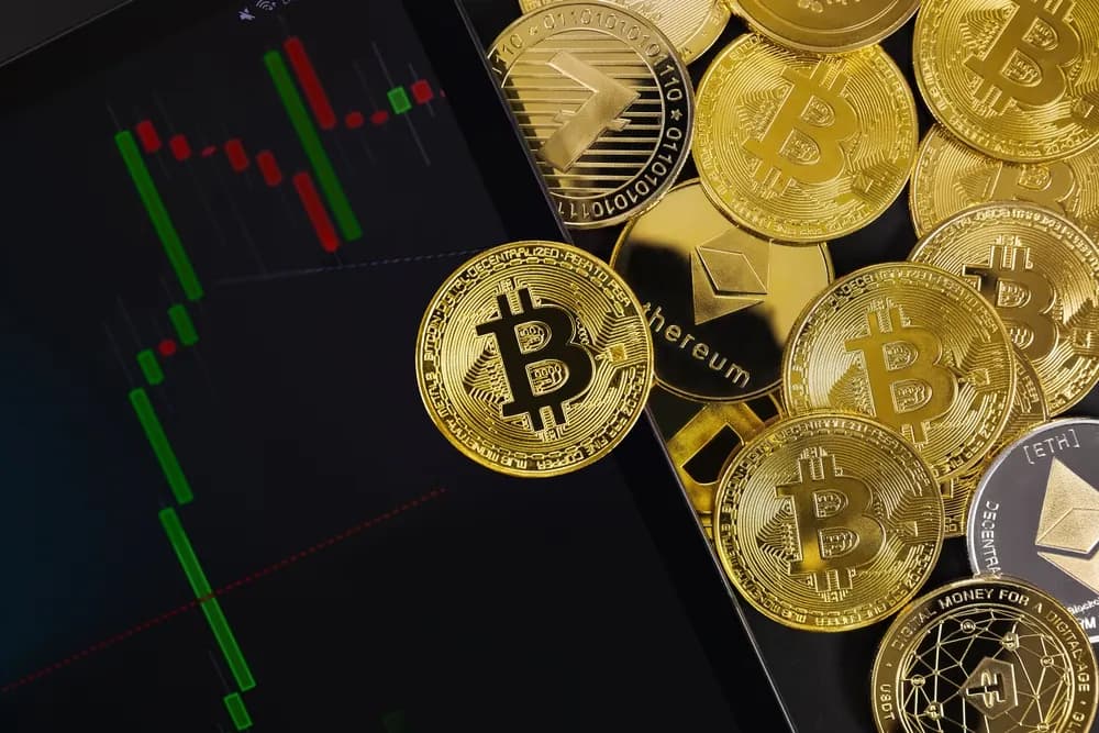 Digital Assets in Your Will